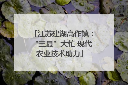 江苏建湖高作镇：“三夏”大忙 现代农业技术助力