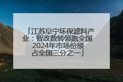 江苏阜宁环保滤料产业：智改数转领跑全国 2024年市场份额占全国三分之一