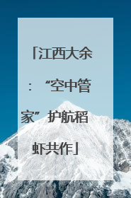 江西大余：“空中管家”护航稻虾共作