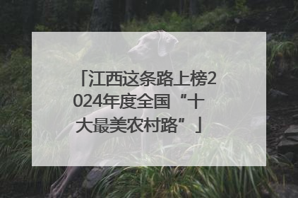 江西这条路上榜2024年度全国“十大最美农村路”