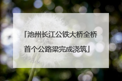 池州长江公铁大桥全桥首个公路梁完成浇筑