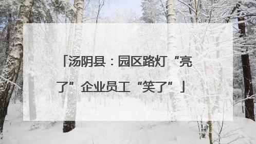 汤阴县：园区路灯“亮了”企业员工“笑了”