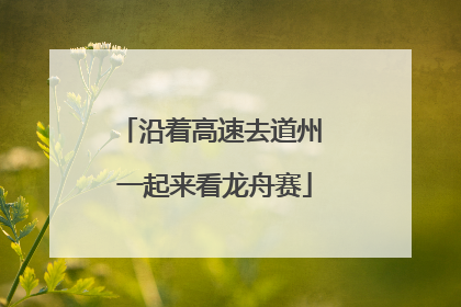 沿着高速去道州 一起来看龙舟赛
