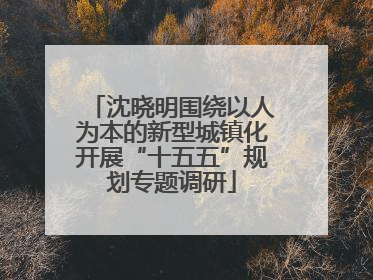 沈晓明围绕以人为本的新型城镇化开展“十五五”规划专题调研