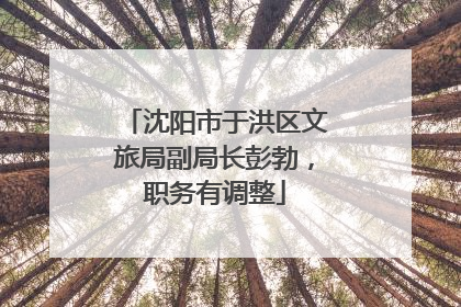 沈阳市于洪区文旅局副局长彭勃，职务有调整