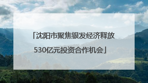 沈阳市聚焦银发经济释放530亿元投资合作机会