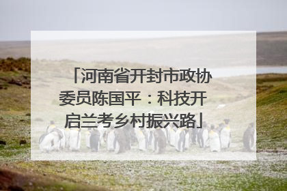 河南省开封市政协委员陈国平：科技开启兰考乡村振兴路