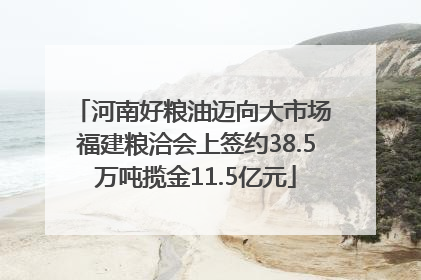 河南好粮油迈向大市场 福建粮洽会上签约38.5万吨揽金11.5亿元