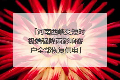 河南西峡受短时极端强降雨影响客户全部恢复供电