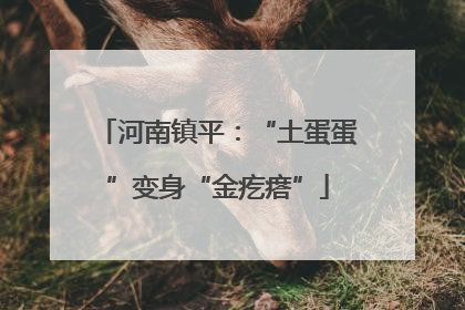 河南镇平：“土蛋蛋”变身“金疙瘩”