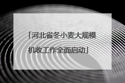 河北省冬小麦大规模机收工作全面启动
