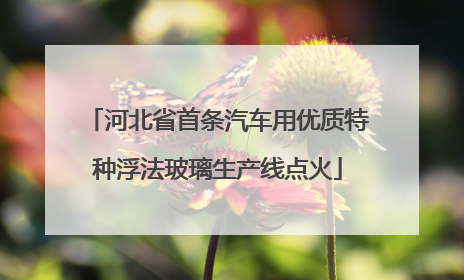 河北省首条汽车用优质特种浮法玻璃生产线点火