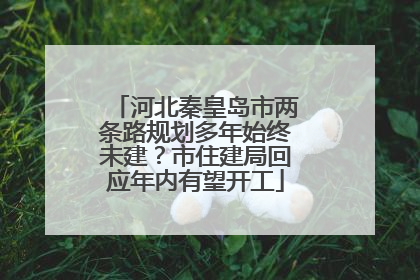 河北秦皇岛市两条路规划多年始终未建？市住建局回应年内有望开工