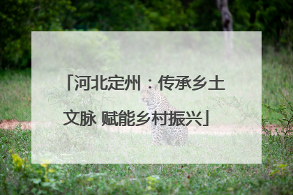 河北定州：传承乡土文脉 赋能乡村振兴