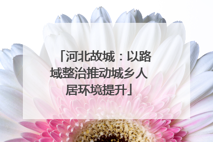 河北故城：以路域整治推动城乡人居环境提升