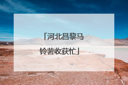 河北昌黎马铃薯收获忙