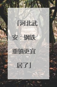 河北武安：钢铁重镇更宜居了