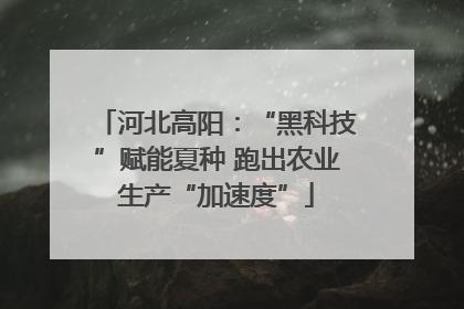 河北高阳：“黑科技”赋能夏种 跑出农业生产“加速度”