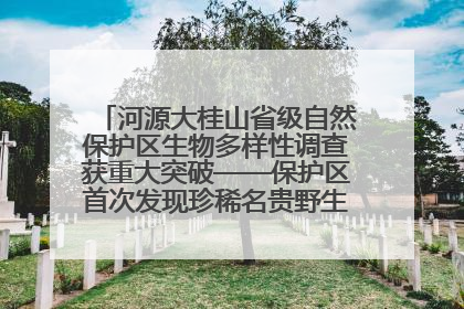 河源大桂山省级自然保护区生物多样性调查获重大突破——保护区首次发现珍稀名贵野生干巴菌与钝尾两头蛇