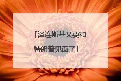 泽连斯基又要和特朗普见面了