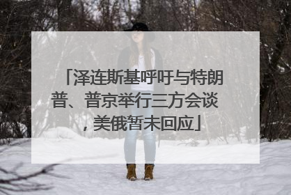 泽连斯基呼吁与特朗普、普京举行三方会谈，美俄暂未回应