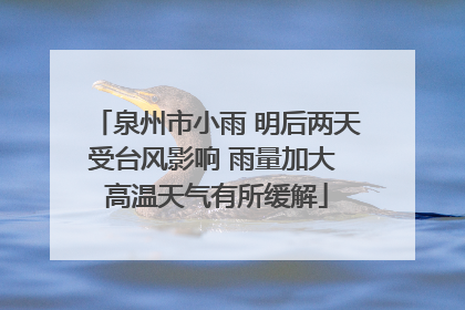 泉州市小雨 明后两天受台风影响 雨量加大 高温天气有所缓解