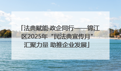 法典赋能·政企同行——锦江区2025年“民法典宣传月”汇聚力量 助推企业发展