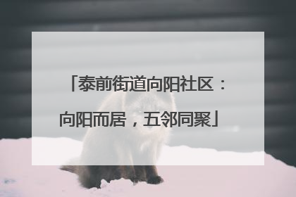 泰前街道向阳社区：向阳而居，五邻同聚