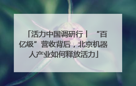 活力中国调研行丨 “百亿级”营收背后，北京机器人产业如何释放活力