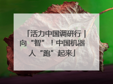 活力中国调研行｜向“智”！中国机器人“跑”起来