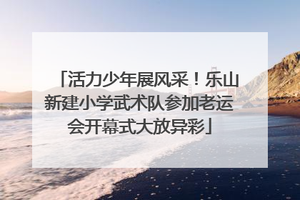 活力少年展风采！乐山新建小学武术队参加老运会开幕式大放异彩