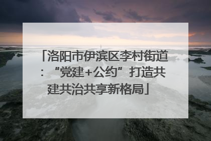 洛阳市伊滨区李村街道：“党建+公约”打造共建共治共享新格局