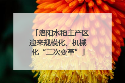 洛阳水稻主产区迎来规模化、机械化“二次变革”
