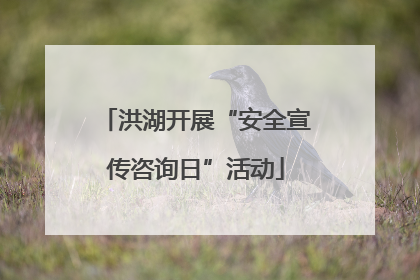洪湖开展“安全宣传咨询日”活动