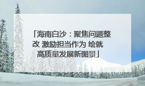 海南白沙：聚焦问题整改 激励担当作为 绘就高质量发展新图景