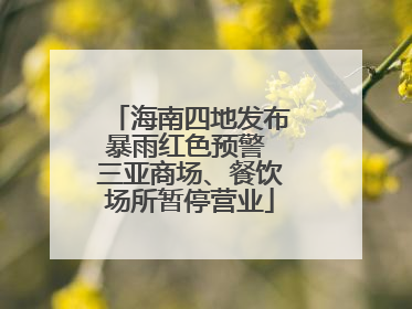 海南四地发布暴雨红色预警 三亚商场、餐饮场所暂停营业