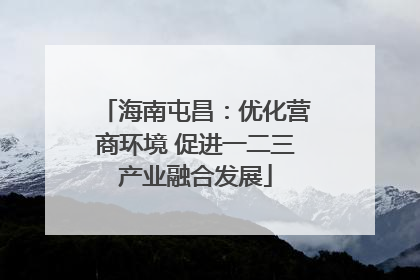 海南屯昌：优化营商环境 促进一二三产业融合发展