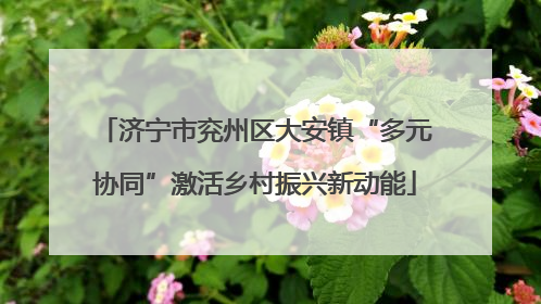 济宁市兖州区大安镇“多元协同”激活乡村振兴新动能