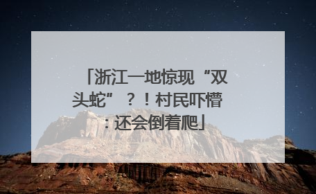 浙江一地惊现“双头蛇”？！村民吓懵：还会倒着爬