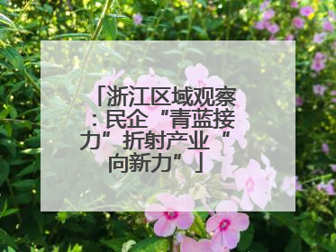 浙江区域观察：民企“青蓝接力”折射产业“向新力”