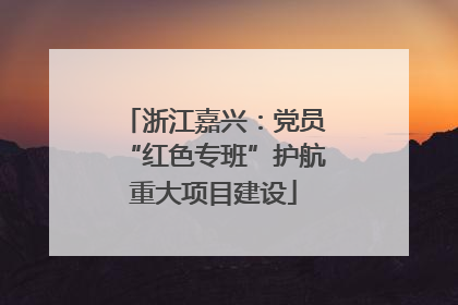 浙江嘉兴：党员“红色专班”护航重大项目建设