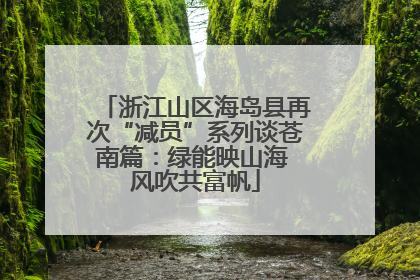 浙江山区海岛县再次“减员”系列谈苍南篇：绿能映山海 风吹共富帆