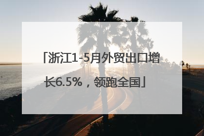 浙江1-5月外贸出口增长6.5%，领跑全国