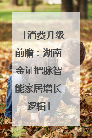消费升级前瞻：湖南金证把脉智能家居增长逻辑