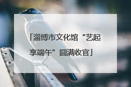 淄博市文化馆“艺起享端午”圆满收官
