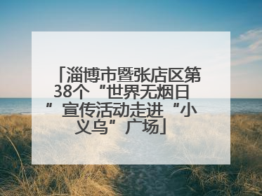 淄博市暨张店区第38个“世界无烟日”宣传活动走进“小义乌”广场