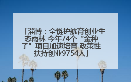 淄博：全链护航育创业生态雨林 今年74个“金种子”项目加速培育 政策性扶持创业9754人
