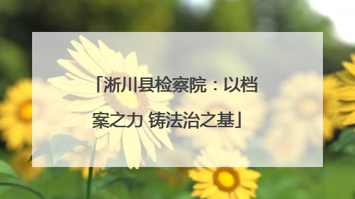 淅川县检察院：以档案之力 铸法治之基