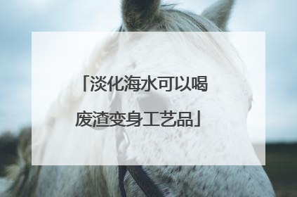 淡化海水可以喝 废渣变身工艺品