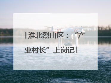 淮北烈山区：“产业村长”上岗记